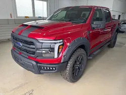 Rot Gebraucht 2024 Ford F-150 Raptor Abholung | 58.991 € (Superpreis)