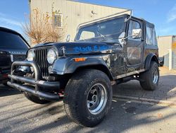 Gebraucht 1978 Jeep CJ SUV | 14.499 €