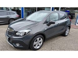 Grau Gebraucht 2015 Opel Mokka Innovation SUV | 12.450 € (Teuer)