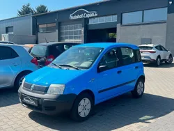 Blau Gebraucht 2004 Fiat Panda Active Kleinwagen | 2.499 € (Teuer)