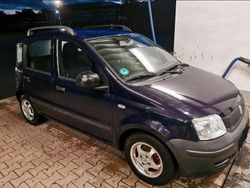 Blau Gebraucht 2010 Fiat Panda Kleinwagen | 2.340 € (Fairer Preis)