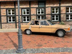 Beige Gebraucht 1977 Mercedes 280 Limousine | 9.700 €