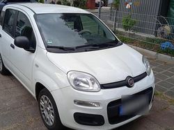 Weiß Gebraucht 2020 Fiat Panda Kleinwagen | 5.990 €