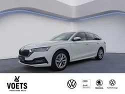 Weiß Gebraucht 2023 Skoda Octavia Style Kombi | 23.988 € (Guter Preis)