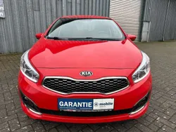 (frd) trackrot Gebraucht 2017 Kia Ceed DREAM-TEAM Edition Kleinwagen | 8.990 € (Guter Preis)