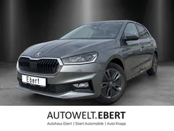 Grau Neu 2025 Skoda Fabia Tour Limousine | 28.190 € (Fairer Preis)