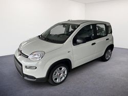 Weiss Gebraucht 2024 Fiat Panda Kleinwagen | 14.390 € (Fairer Preis)