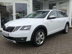 Weiß Gebraucht 2019 Skoda Octavia Scout Scout 4x4 Kombi | 17.490 € (Fairer Preis)