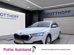 Weiss Gebraucht 2023 Skoda Octavia Style Kombi | 24.977 € (Guter Preis)
