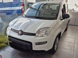 Weiß Gebraucht 2023 Fiat Panda Kleinwagen | 13.900 € (Etwas zu teuer)