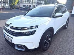 Blanc banquise Gebraucht 2019 Citroën C5 Aircross Feel SUV | 17.650 € (Fairer Preis)