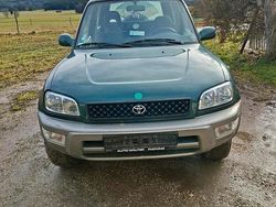 Grün Gebraucht 2000 Ford Fiesta SUV | 4.050 €
