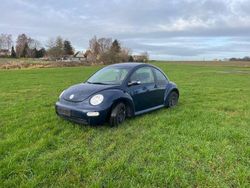 Blau Gebraucht 2003 VW Beetle Coupé | 2.000 € (Guter Preis)