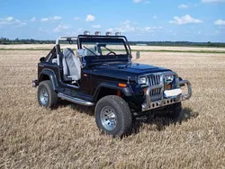 Schwarz Gebraucht 1991 Jeep Wrangler SUV | 27.900 €