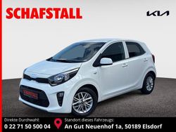 Weiss ((ud) schneeweiss) Gebraucht 2023 Kia Picanto Vision Kleinwagen | 11.979 € (Fairer Preis)