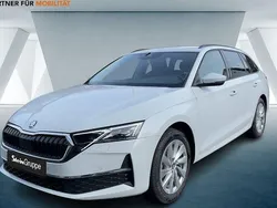 Weiß Neu 2025 Skoda Octavia Selection Kombi | 35.280 € (Fairer Preis)