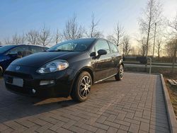 Schwarz Gebraucht 2015 Fiat Punto Kleinwagen | 4.650 € (Fairer Preis)