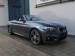 Grau Gebraucht 2021 BMW 220 M Sport Cabrio | 29.780 € (Guter Preis)