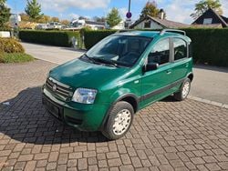 Grün Gebraucht 2010 Fiat Panda 4x4 Climbing Kleinwagen | 2.100 € (Superpreis)