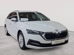 Candyweiß uni Gebraucht 2022 Skoda Octavia Ambition Kombi | 16.990 € (Guter Preis)
