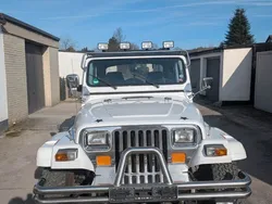 Weiß Gebraucht 1991 Jeep Wrangler SUV | 14.000 €
