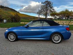 Blau Gebraucht 2018 BMW 220 M Sport Cabrio | 21.700 € (Fairer Preis)