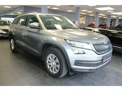 Grau Gebraucht 2021 Skoda Kodiaq Active SUV | 21.980 € (Guter Preis)