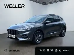 Grau Gebraucht 2024 Ford Kuga ST-Line SUV | 29.250 € (Fairer Preis)