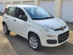Gelato weiß Gebraucht 2020 Fiat Panda Easy Kleinwagen | 8.900 € (Guter Preis)