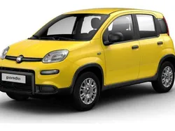 Gelb uni Neu 2025 Fiat Panda Kleinwagen | 14.890 €