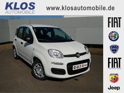 Gelato weiss Neu 2025 Fiat Panda | 14.990 € (Fairer Preis)