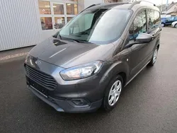 Grau Gebraucht 2019 Ford Transit Trend Kombi | 13.300 € (Teuer)