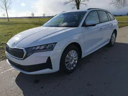Moonweiß metallic Neu 2025 Skoda Octavia Essence Kombi | 32.429 € (Guter Preis)