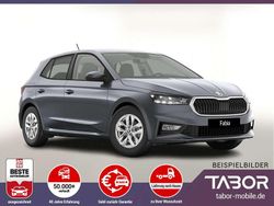 Graphitegrau metallic Neu 2025 Skoda Fabia Kleinwagen | 21.788 € (Guter Preis)