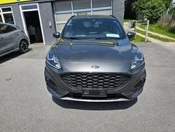 Grau Gebraucht 2024 Ford Kuga ST-Line SUV | 24.999 € (Superpreis)