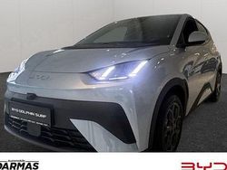 Blau Gebraucht 2025 BYD Dolphin Surf Comfort Kleinwagen | 22.790 € (Guter Preis)