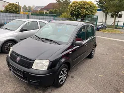 Schwarz Gebraucht 2009 Fiat Panda Kleinwagen | 1.899 €