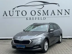 Grau Gebraucht 2023 Skoda Octavia Ambition Kombi | 19.700 € (Guter Preis)