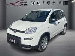 Weiß Gebraucht 2025 Fiat Panda Cross Cross Kleinwagen | 14.980 € (Fairer Preis)