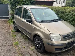 Gelb Gebraucht 2008 Fiat Panda Kleinwagen | 1.500 €