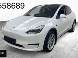 Weiß Gebraucht 2023 Tesla Model Y SUV | 32.350 € (Guter Preis)