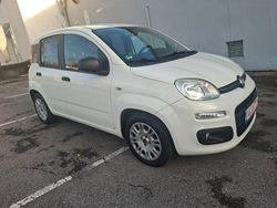 Weiß Gebraucht 2016 Fiat Panda Easy Kleinwagen | 6.980 € (Fairer Preis)