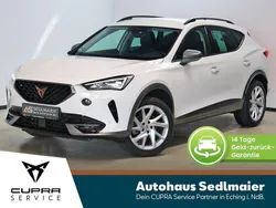 Candy weiss Gebraucht 2023 Cupra Formentor SUV | 25.940 € (Fairer Preis)