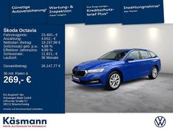 Energyblau Gebraucht 2023 Skoda Octavia Ambition Kombi | 23.460 € (Guter Preis)