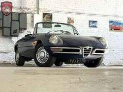 Blu holandese Gebraucht 1969 Alfa Romeo Spider Veloce Cabrio | 62.500 €