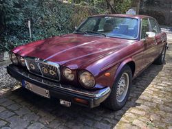 Rot Gebraucht 1985 Jaguar XJ12 Sovereign Limousine | 14.000 €