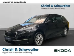 Schwarz Gebraucht 2024 Skoda Octavia Selection Limousine | 32.808 € (Fairer Preis)