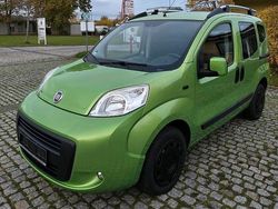 Grün Gebraucht 2010 Fiat Fiorino Trekking Van | 4.800 €