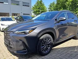 Grau Gebraucht 2022 Lexus NX450h+ E-FOUR SUV | 46.990 € (Superpreis)