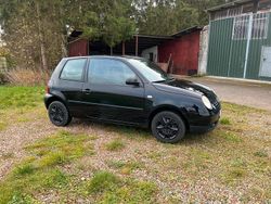 Schwarz Gebraucht 2002 VW Lupo Kleinwagen | 1.850 € (Etwas zu teuer)